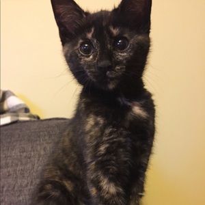 Meet your Posher, Laura